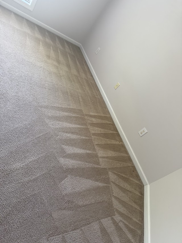 University Carpet & Upholstery Cleaning photo 4