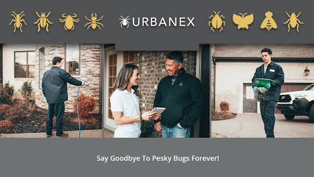 Urbanex Pest Control photo 2