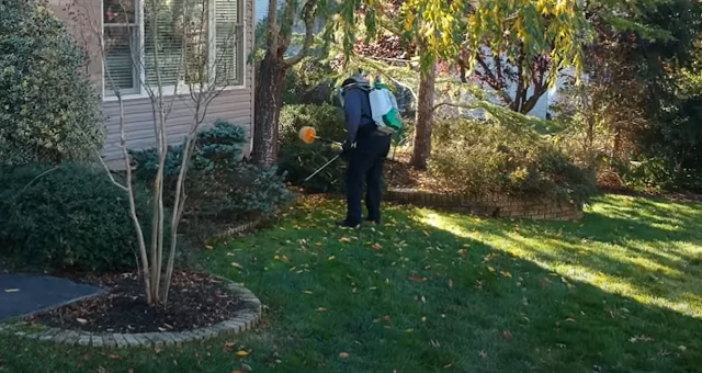 Valdosta Pest Control