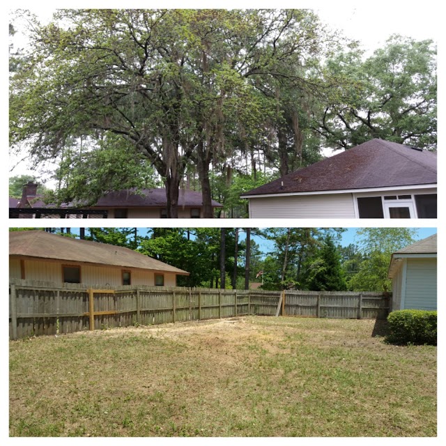 Valdosta Tree Service LLC photo 3