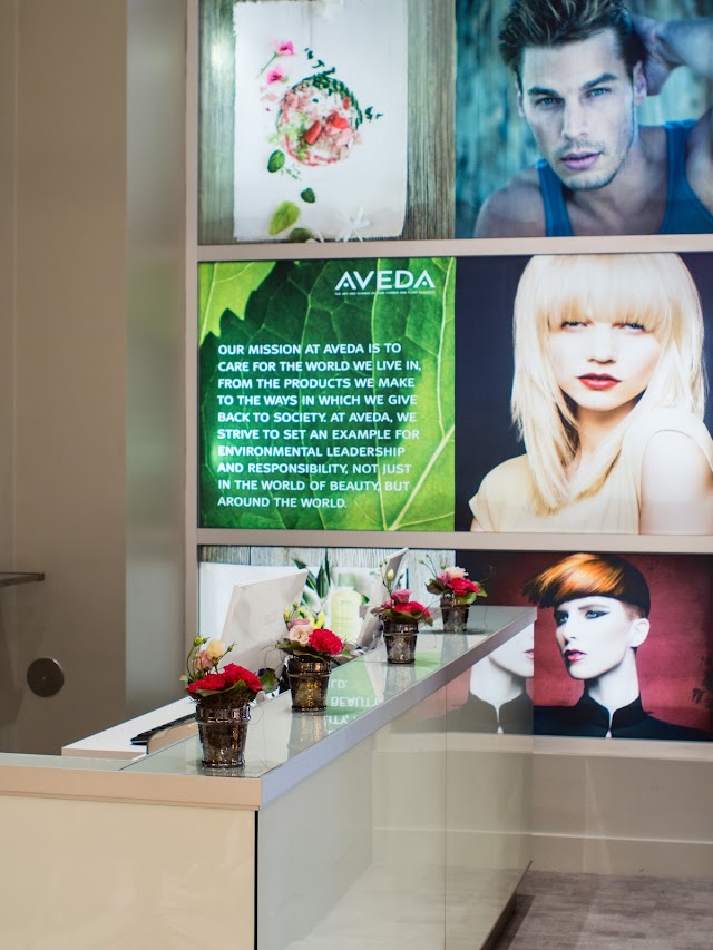 Van Michael Salon photo 4