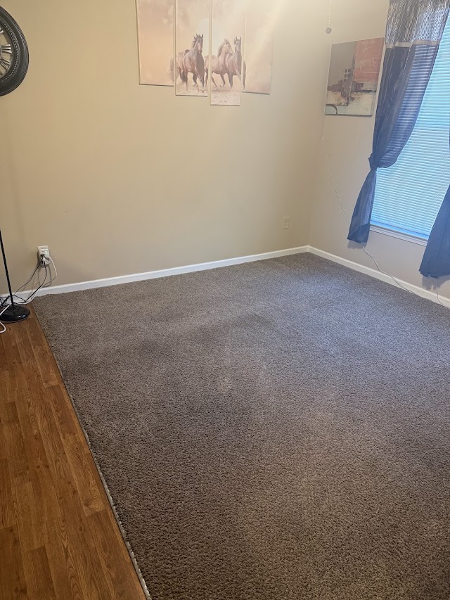 Veteran Carpet Cleaning Service Atlanta photo 2
