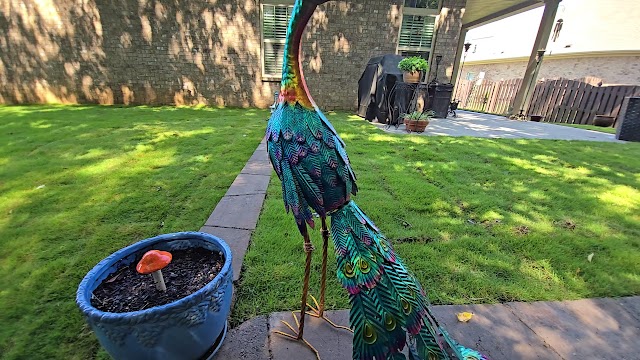 Veteran's Lawn Care & Landscaping LLC photo 3