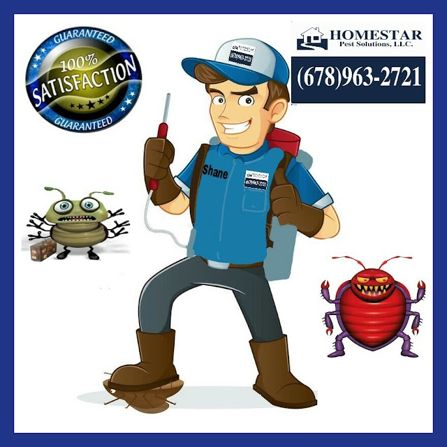 Vortex Waterproofing & Pest Solutions, LLC photo 3