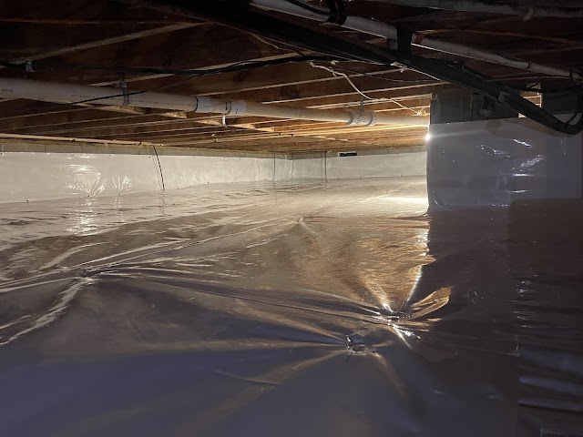 Vortex Waterproofing & Pest Solutions, LLC photo 4