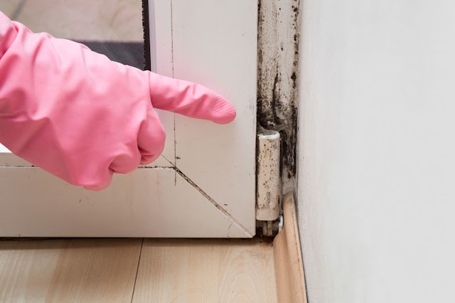 Water Mold Fire Restoration of Atlanta