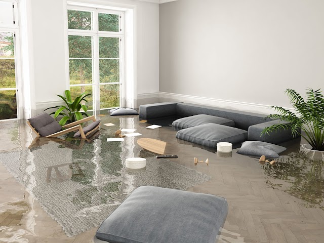 Water Mold Fire Restoration of Atlanta photo 3