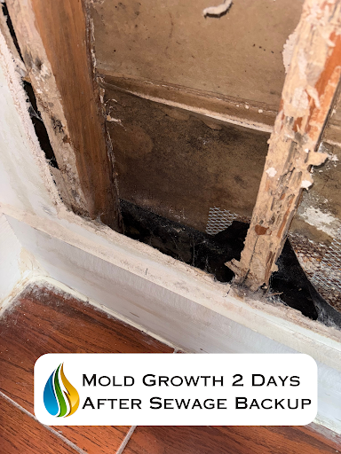 Water Mold Fire Restoration of Atlanta photo 4
