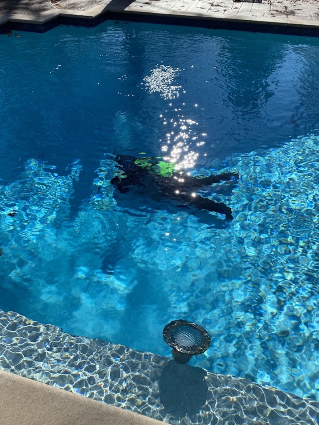 Watkins Pool Care