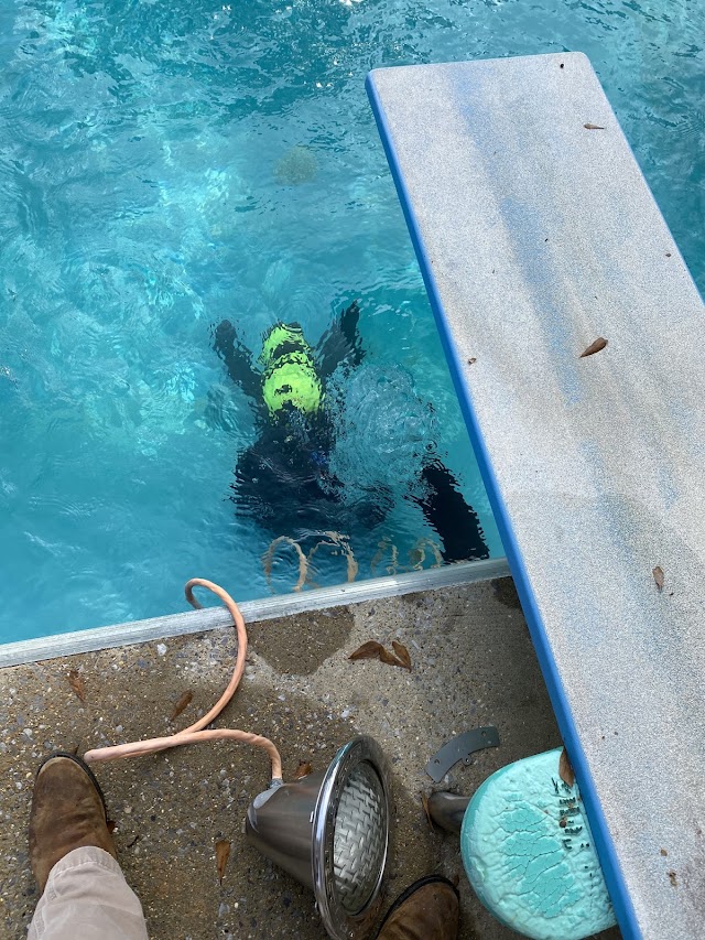 Watkins Pool Care photo 3