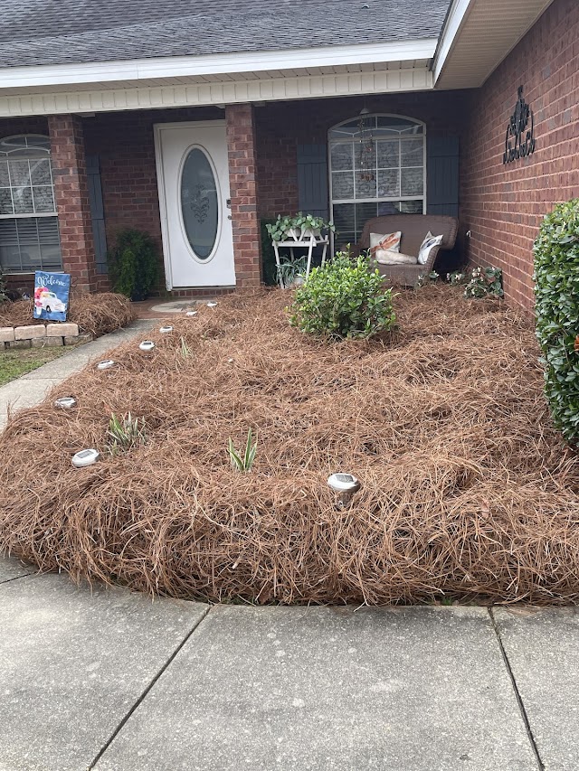 We Care Landscaping & Lawn Services photo 1