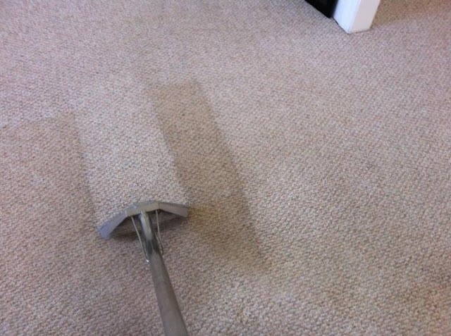 WE-Clean photo 4