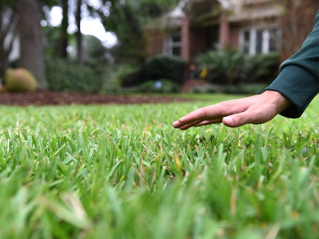 Weed Man Lawn Care photo 2