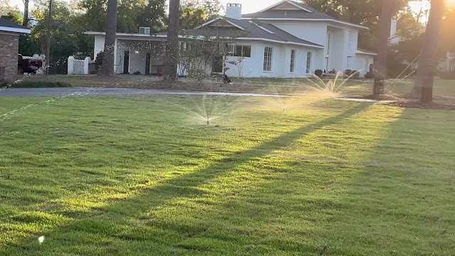 West Bay Landscape and Lawn Maintenance photo 3