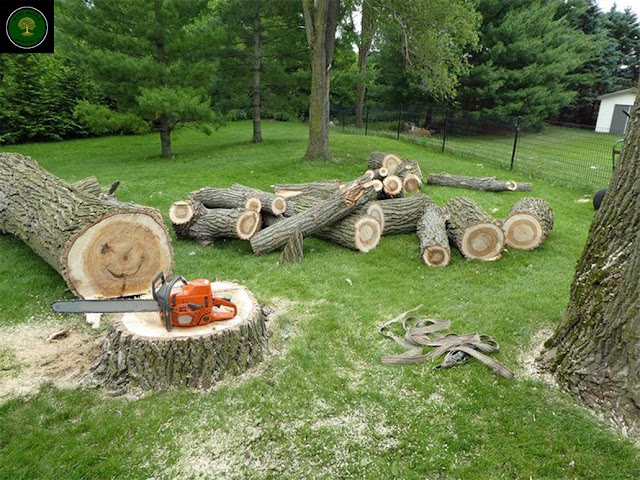 West Mobile Tree Service LLC. photo 2