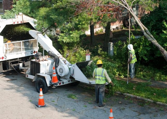 West Mobile Tree Service LLC. photo 4