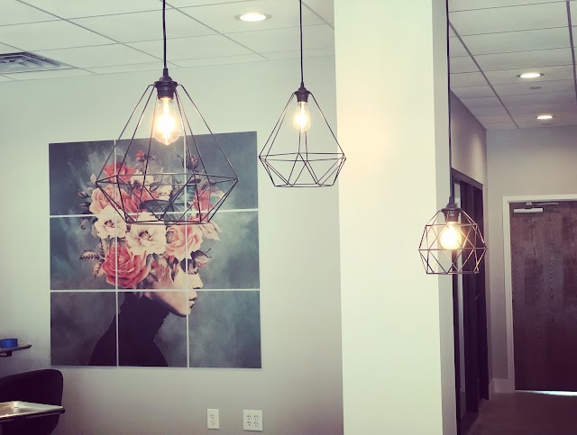 Wild Moon Studio