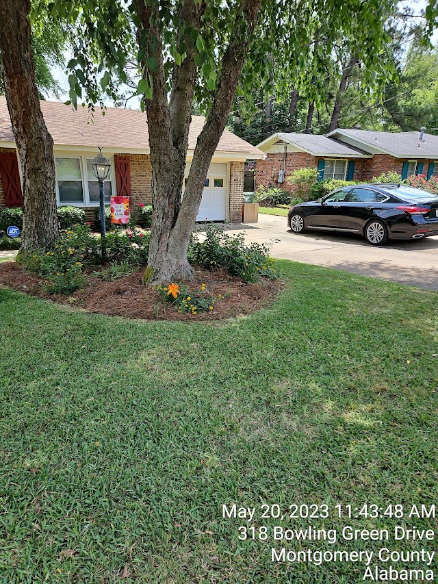 Wilson's Lawn Care photo 2