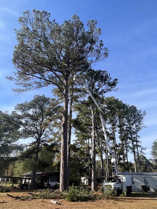 Woodard's Outdoor Service photo 2