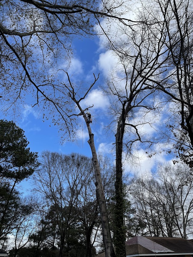 Woodland Tree Service