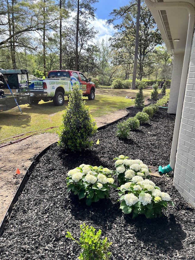 WORLD OF SERVICE photo 3