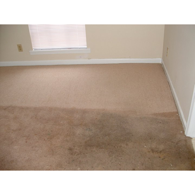 Xtreme Klene Carpet & Upholstery Cleaning photo 2