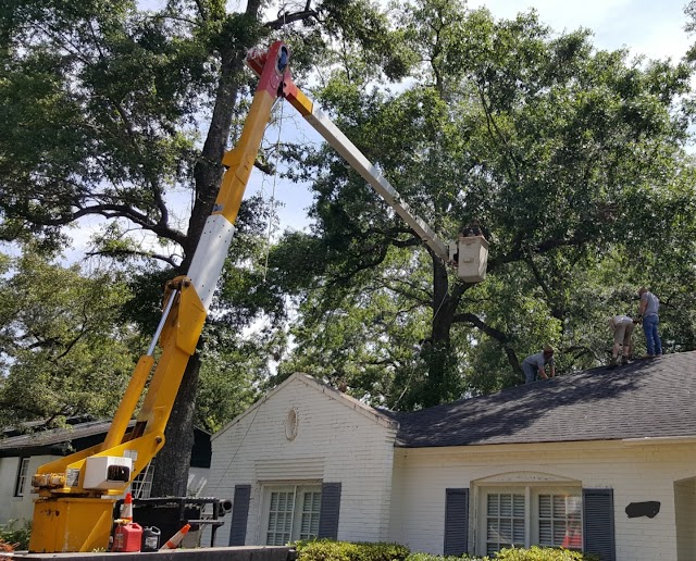 Young's Tree Services LLC. photo 3