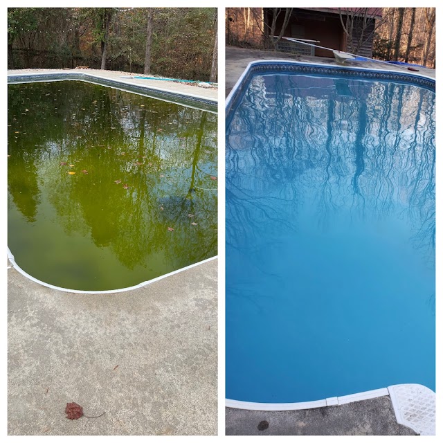 Yummy Pools photo 4
